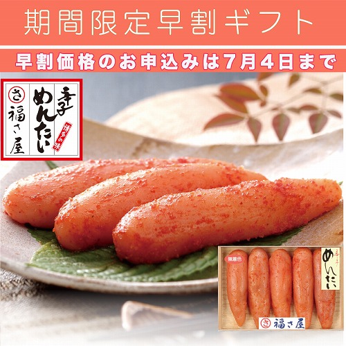 【期間限定・早割】