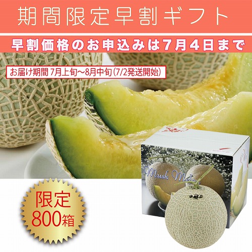 【期間限定・早割】