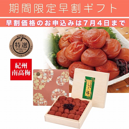 【期間限定・早割】