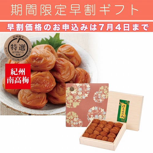 【期間限定・早割】