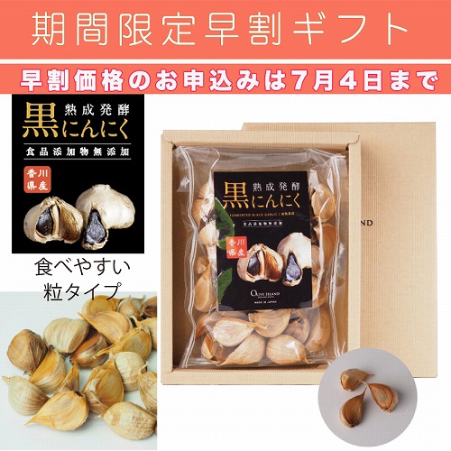 【期間限定・早割】