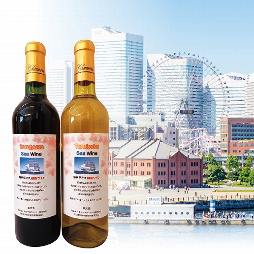 海が見えた樽熟ワイン
