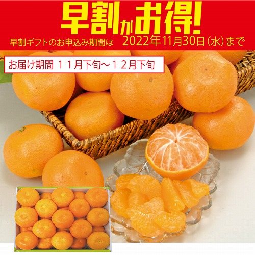 【期間限定・早割】