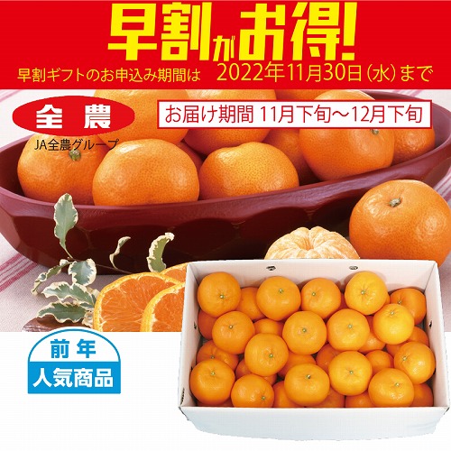 【期間限定・早割】