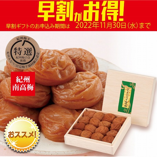 【期間限定・早割】