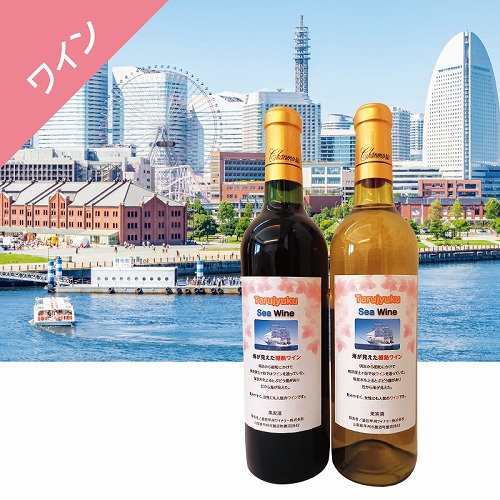 海が見えた樽熟ワイン