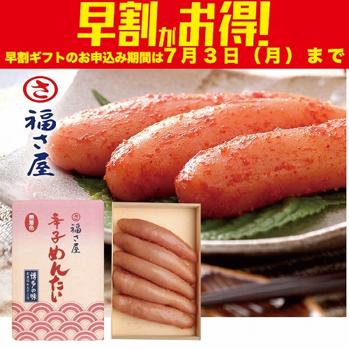 【期間限定・早割】