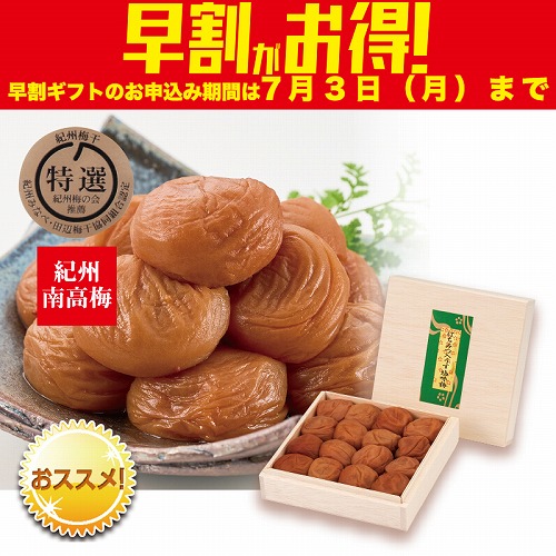 【期間限定・早割】