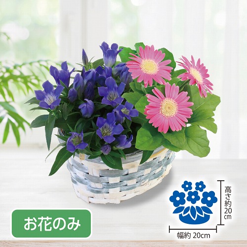 リンドウ寄せかご