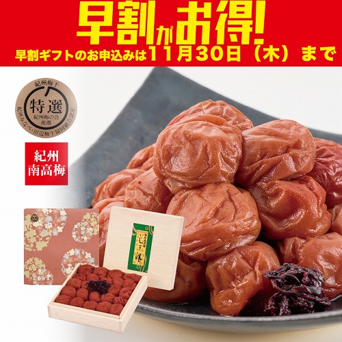 【期間限定・早割】