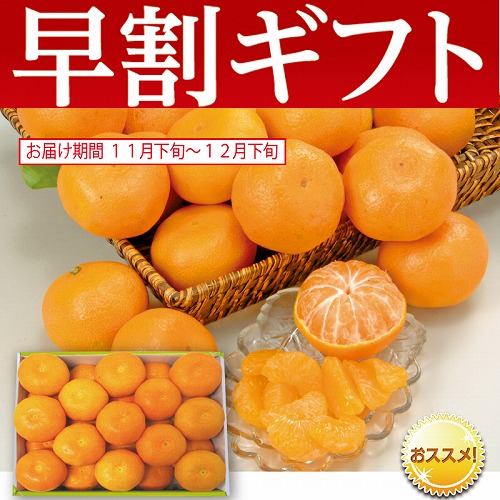 【期間限定・早割】