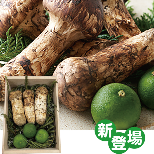 【季節の特薦品】