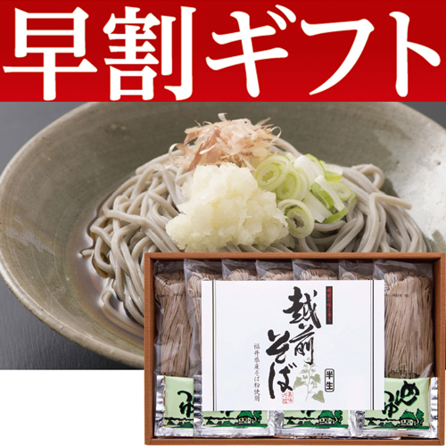 【期間限定・早割】