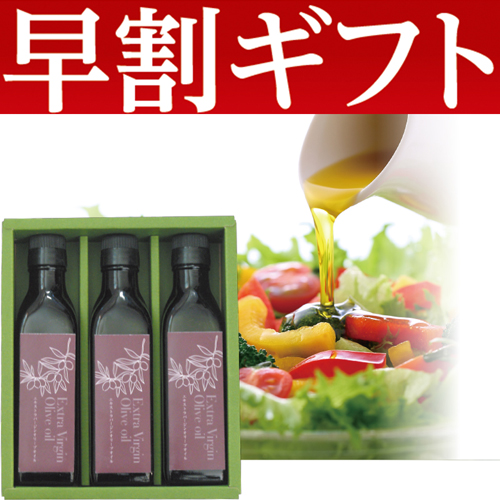 【期間限定・早割】