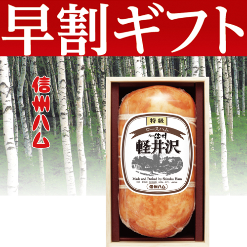 【期間限定・早割】