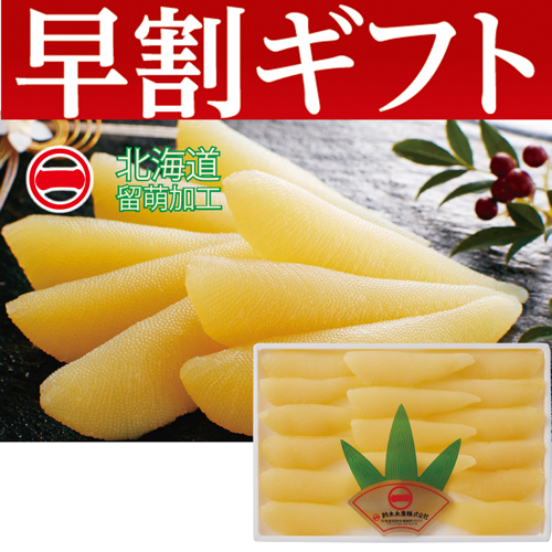 【期間限定・早割】