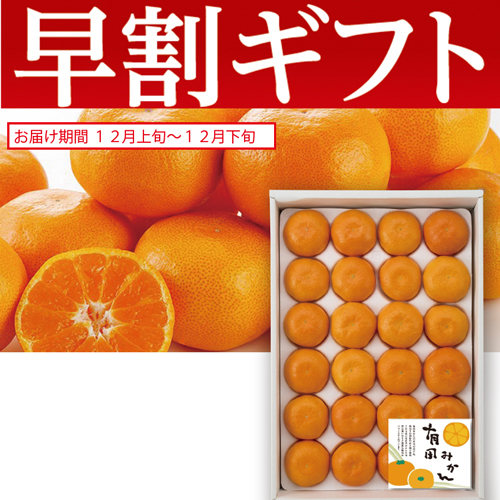 【期間限定・早割】