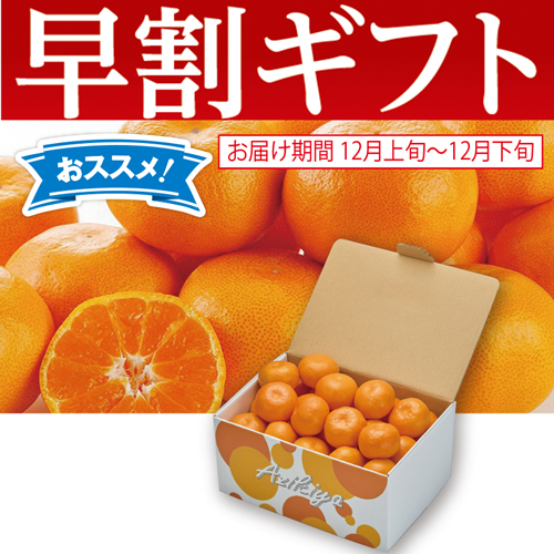 【期間限定・早割】