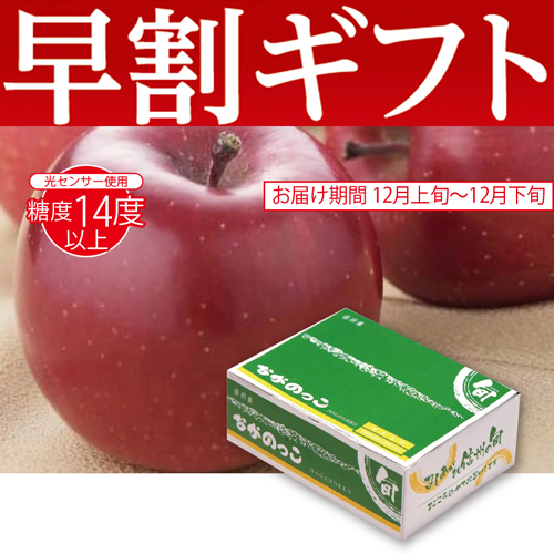 【期間限定・早割】