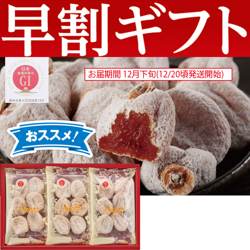 【期間限定・早割】