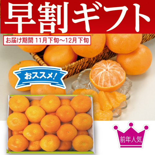 【期間限定・早割】