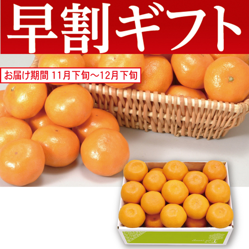 【期間限定・早割】