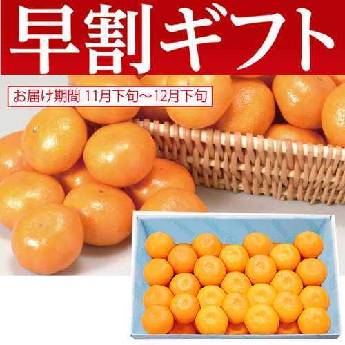 【期間限定・早割】