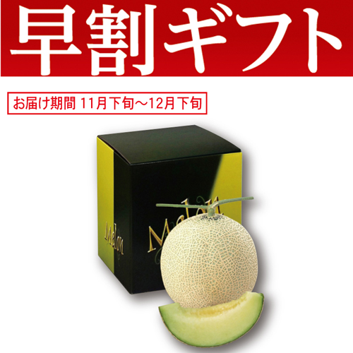 【期間限定・早割】