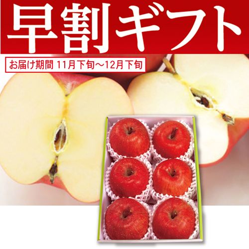 【期間限定・早割】