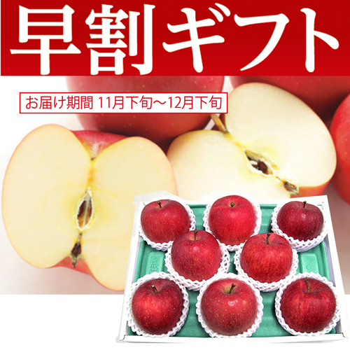 【期間限定・早割】