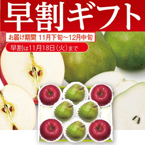 【期間限定・早割】