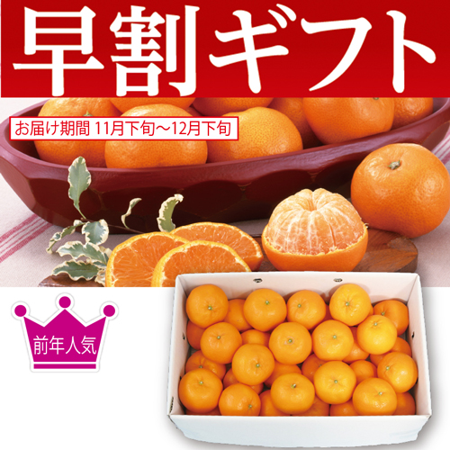 【期間限定・早割】