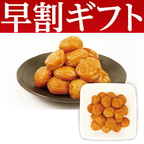 【期間限定・早割】