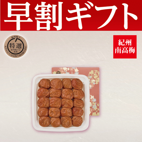 【期間限定・早割】