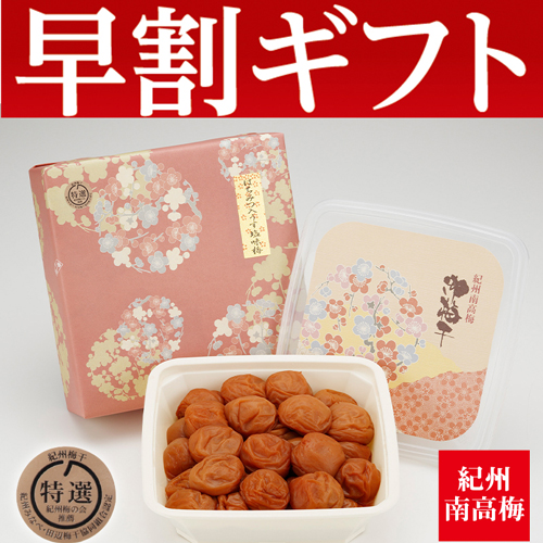 【期間限定・早割】