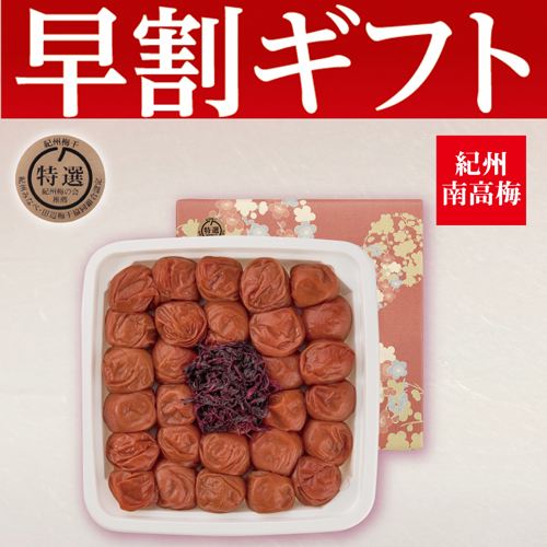 【期間限定・早割】