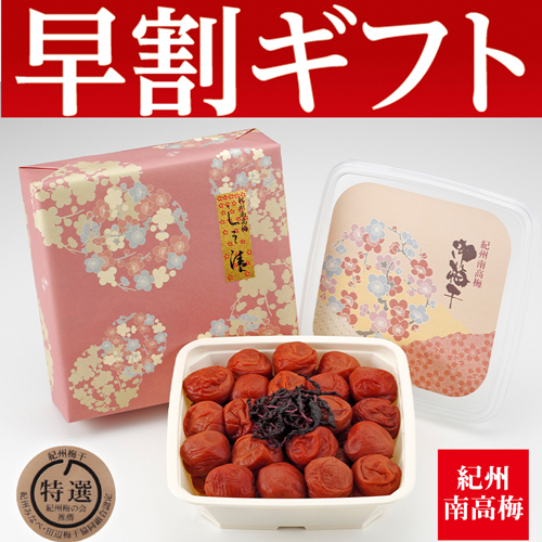 【期間限定・早割】