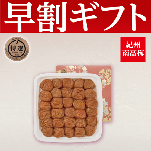 【期間限定・早割】