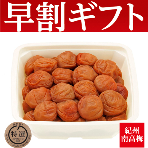 【期間限定・早割】