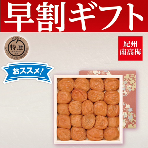 【期間限定・早割】