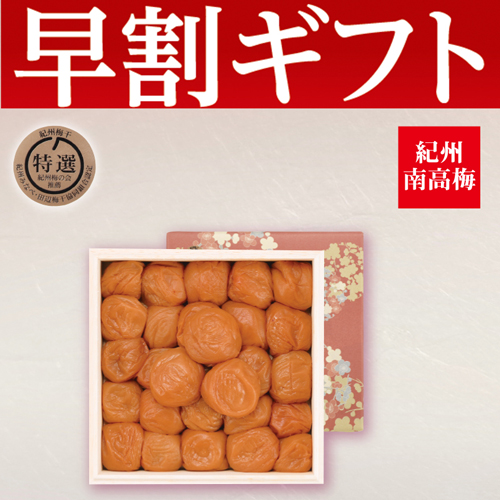 【期間限定・早割】