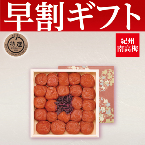 【期間限定・早割】