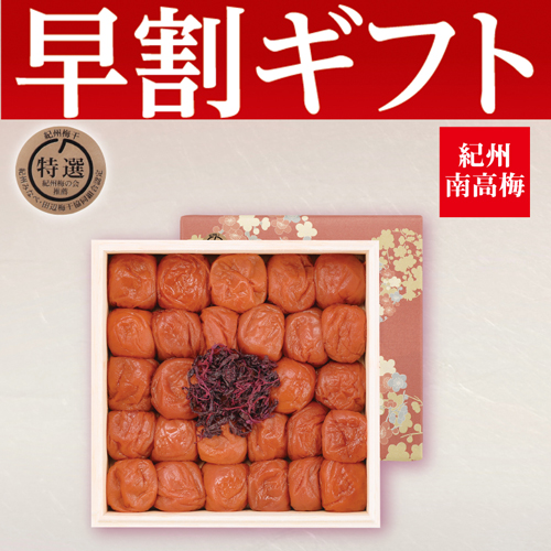 【期間限定・早割】