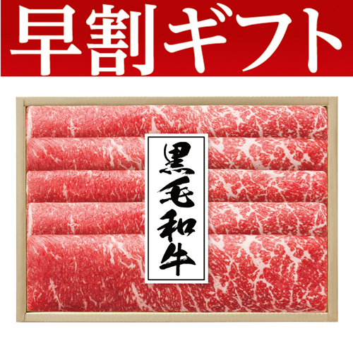 【期間限定・早割】