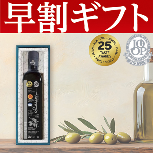 【期間限定・早割】