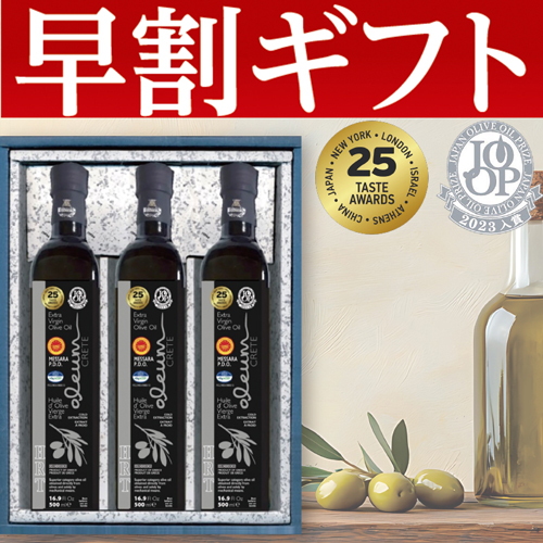 【期間限定・早割】