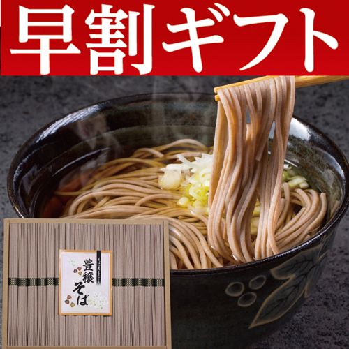 【期間限定・早割】