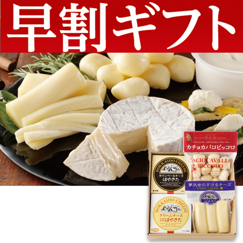 【期間限定・早割】