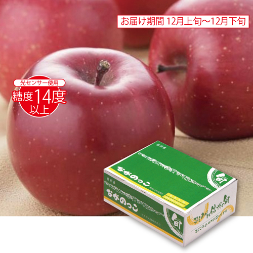 ながのっこサンふじりんご１．８ｋｇ