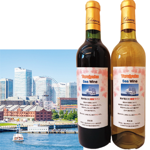 海が見えた樽熟ワインセット